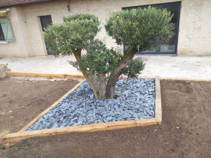 Jardin moderne  Calvados