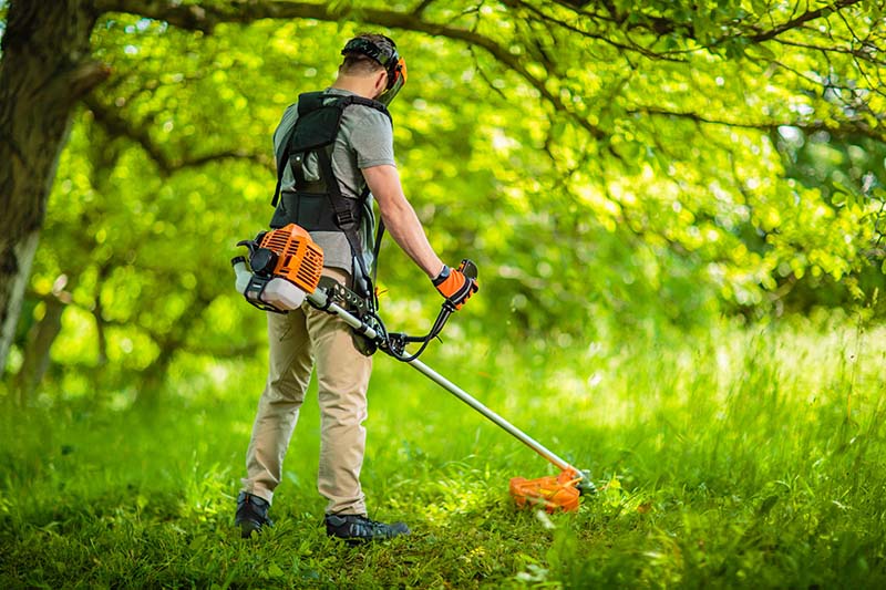 Entreprise entretien jardin Hérouville-Saint-Clair