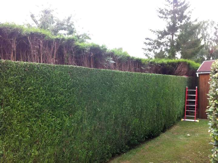 Aménagement de jardin Calvados