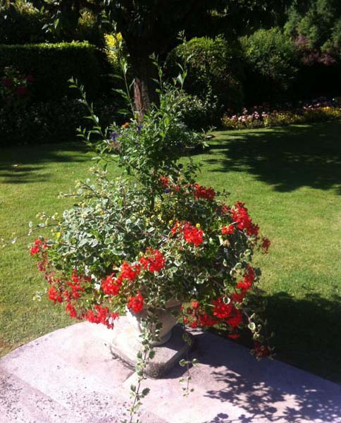 Jardinier pose clôtures Hérouville-Saint-Clair